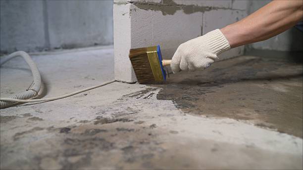 24/7 Emergency Wet Basement Repair experts in South Elgin, IL